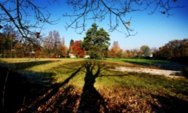 Information-challendin-31-octobre-2011